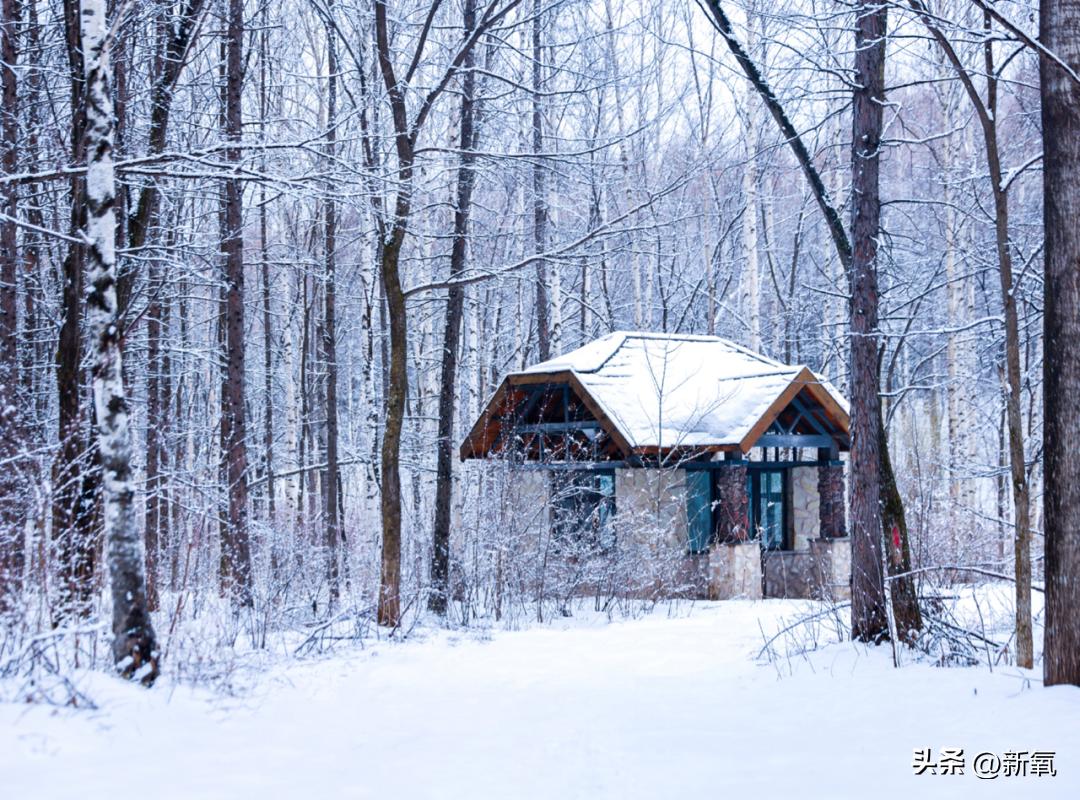 被嘲是土包子N年,现在竟统治内娱爆剧了???