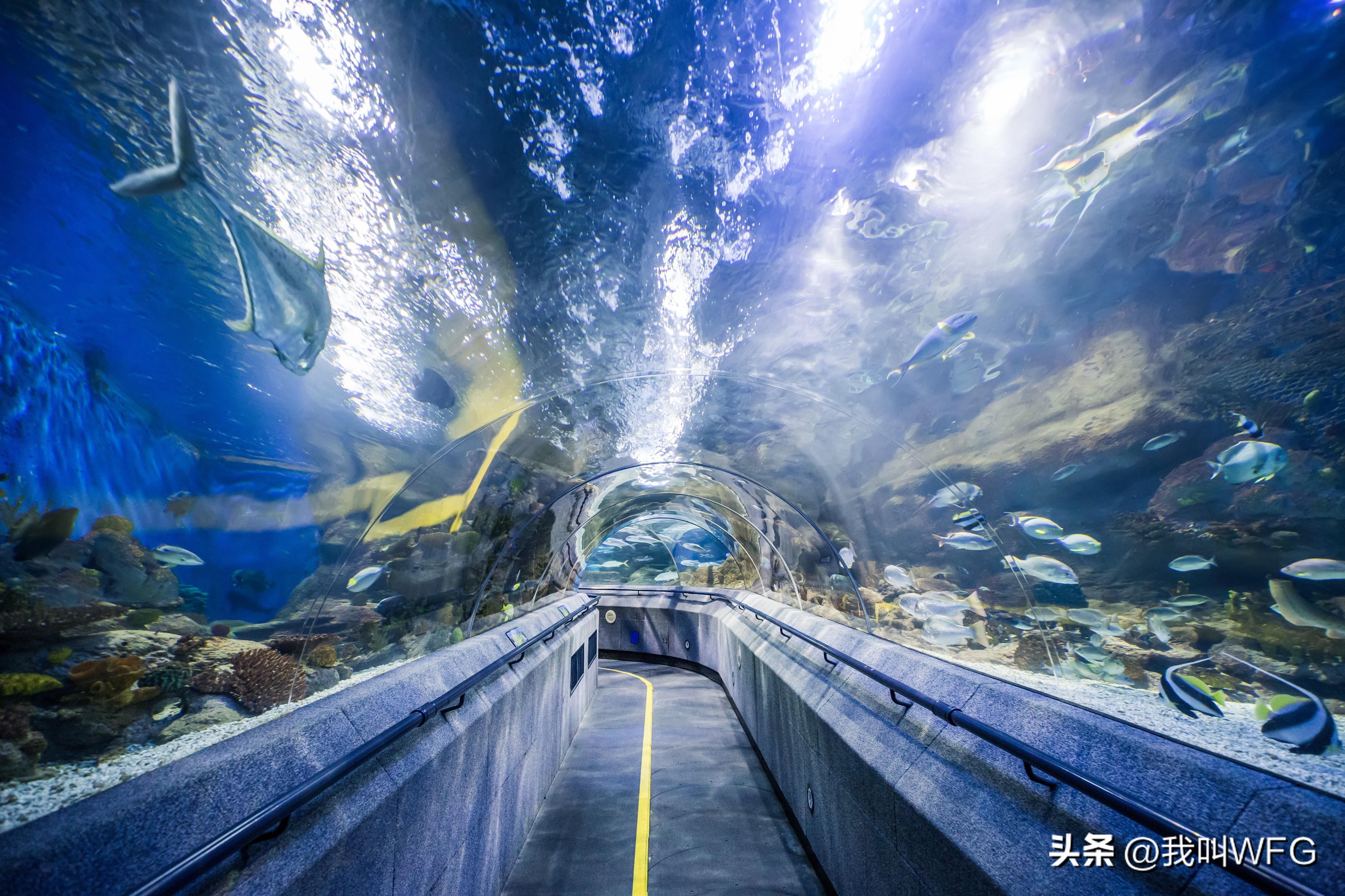 五一请到我的城市吃美食话题,五一去一个没有人知道的城市