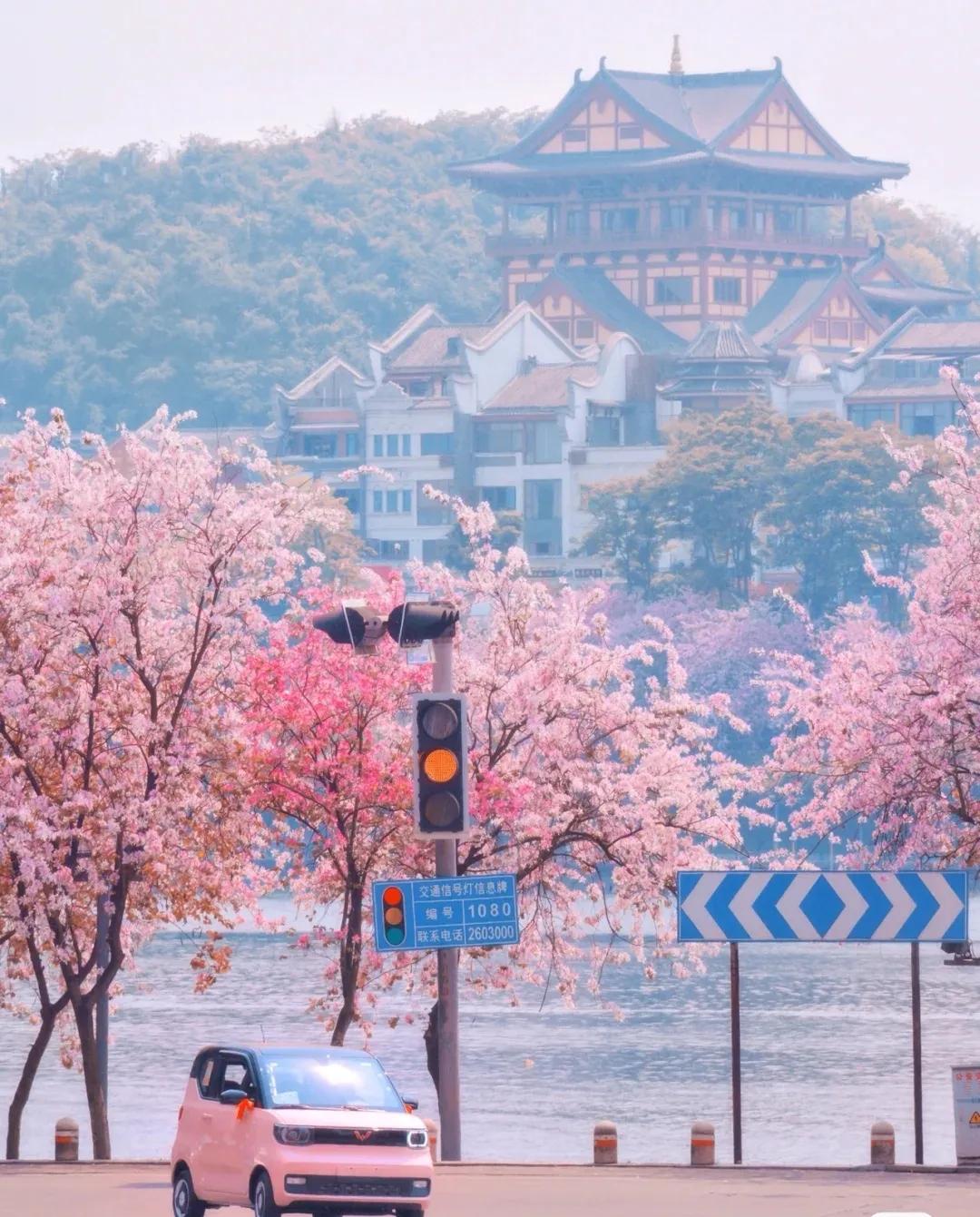 一座来了不想走的城市只为遇见你,一座来了不想走的城市重庆