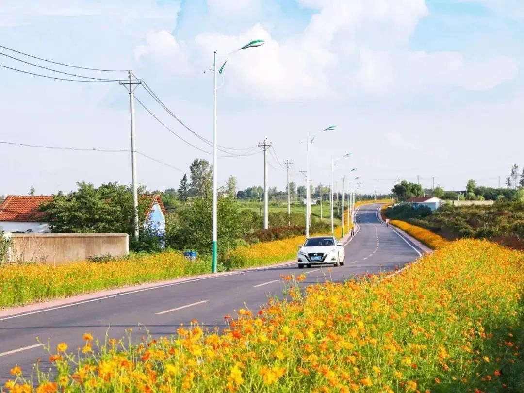 一街一品！乡村“玩”出新花样~