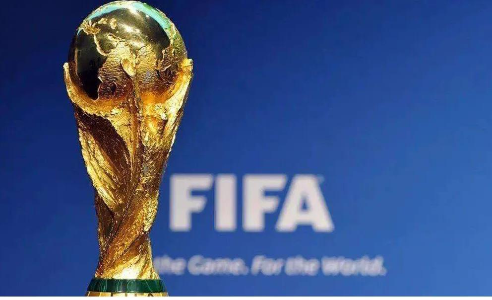 二年一届足球世界杯可行吗？