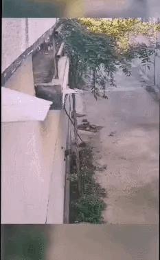 每日一笑：这个测试能说明什么？就这样怼十个手机都得破吧？