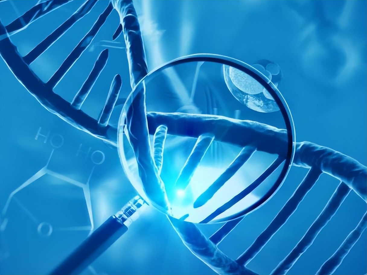 基因疾病药物研究,基因治疗研究