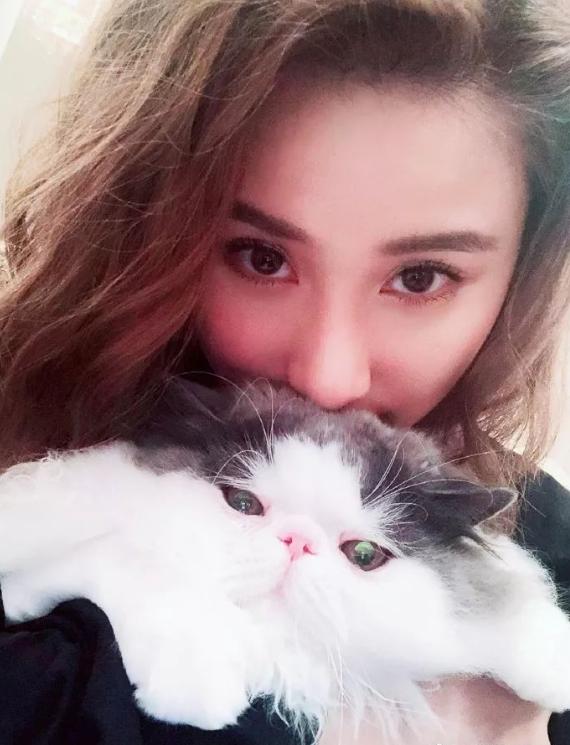 赌王何超莲吴克群视频,吴克群何超莲差几岁