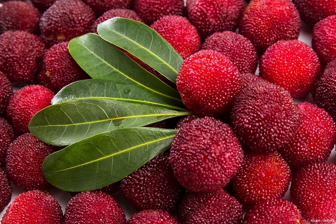 热吃什么水果解暑最好,1月份到12月份吃的应季水果