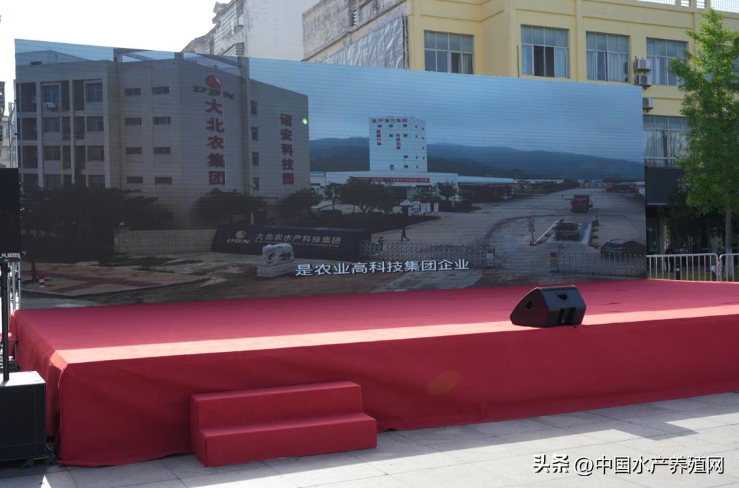 2023年南县小龙虾价格行情,南县小龙虾价格报价