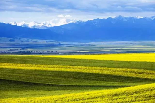 这条惊艳奇绝的公路,行走在天山脊梁上的最美景观公路