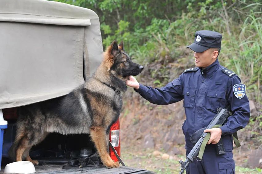 那些年轻时很帅的人,乌克兰边缘青年