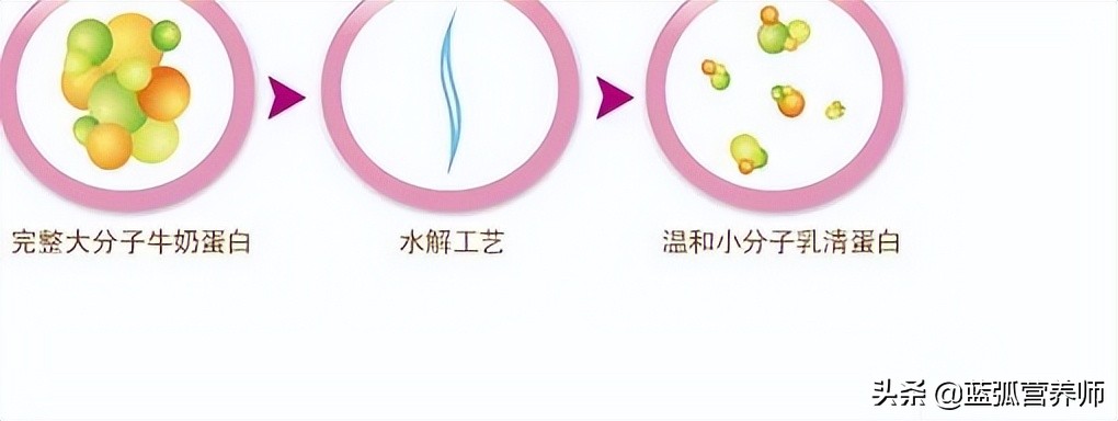 水解奶粉大全,深度水解奶粉什么意思