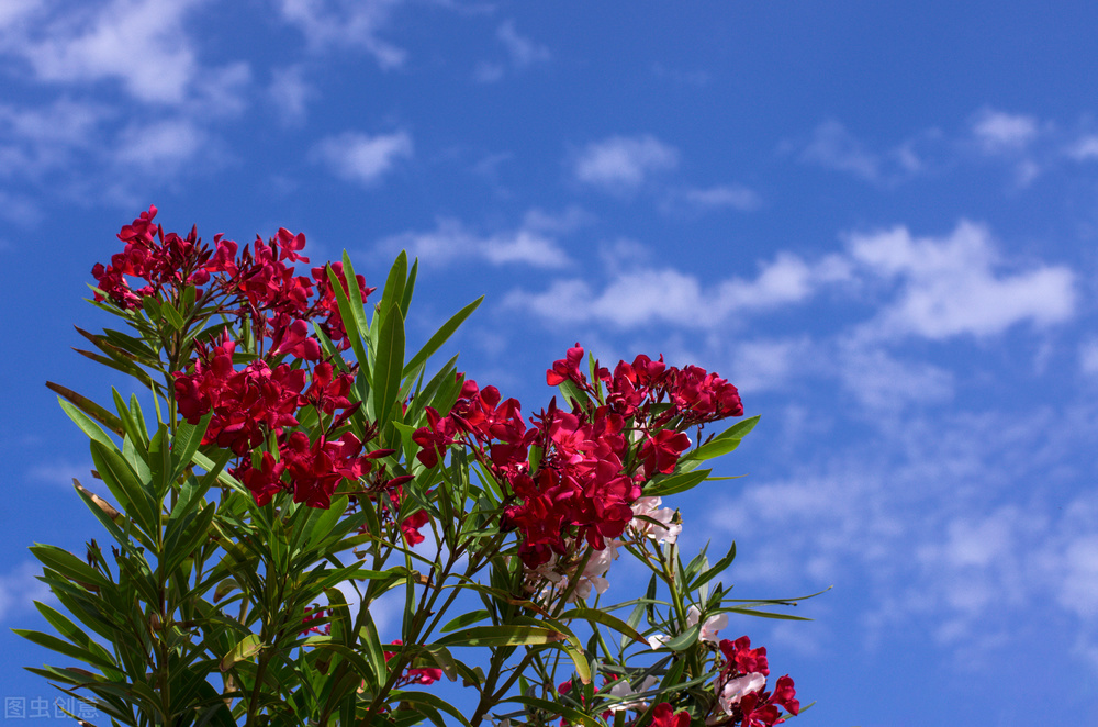 100个让自己变美的习惯,变美的29个习惯