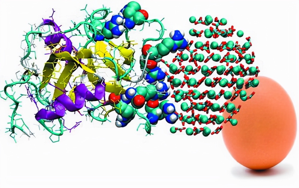人类第一个女人是哪里来的,每个人都是女人生的吗