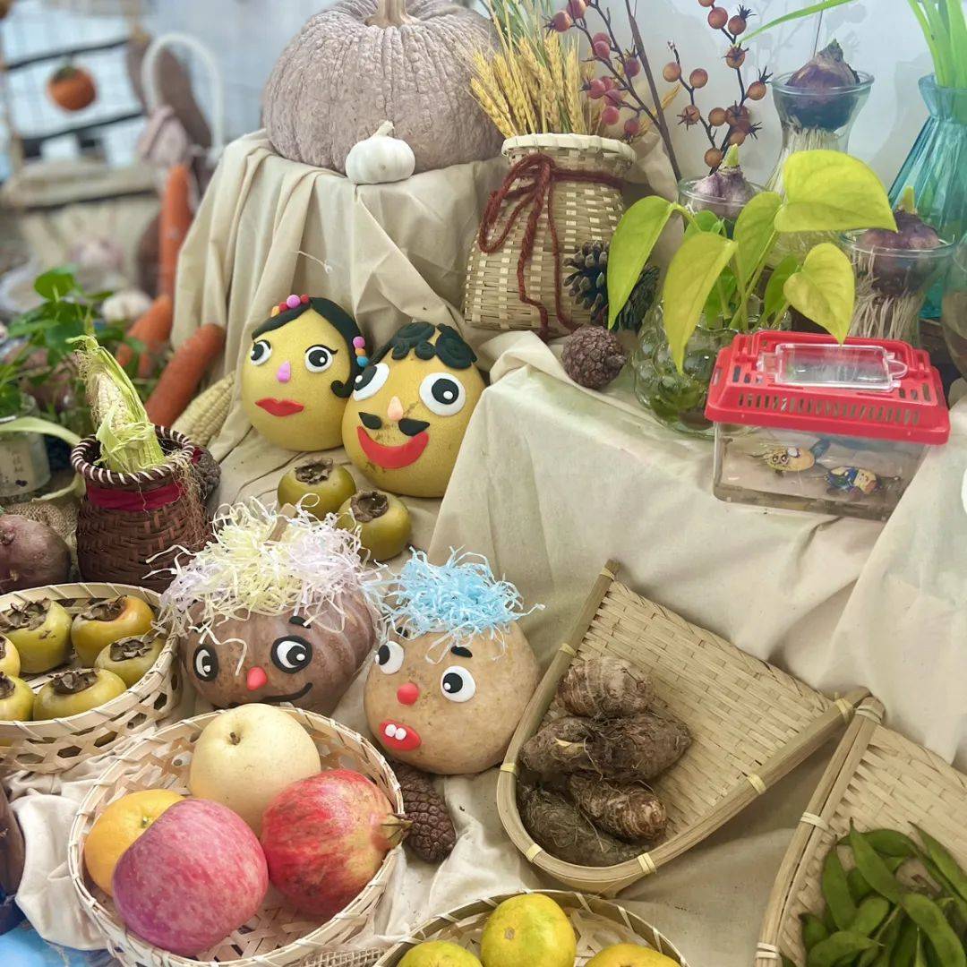 生态环创幼儿园自然角,幼儿园环创自然角实验