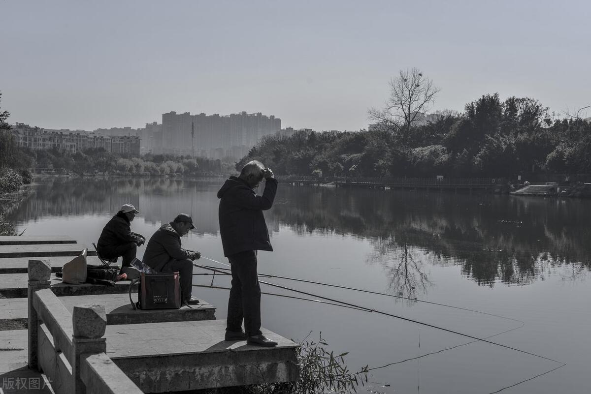 在这浮躁的社会中找一丝净土,交一位佛系的朋友