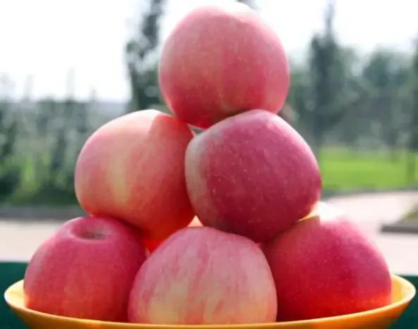 100人民币在世界各国的价值,100元人民币在各国价值清单