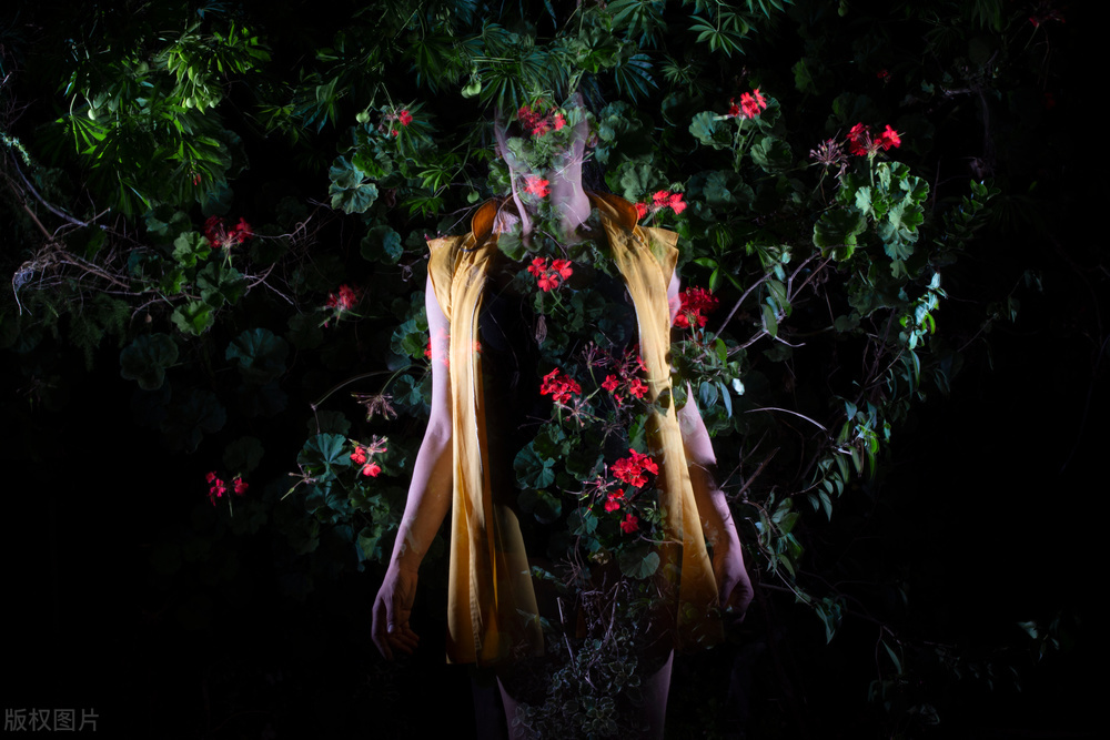 女性特质应该被定义吗,女性不是天生的而是后天被塑造的