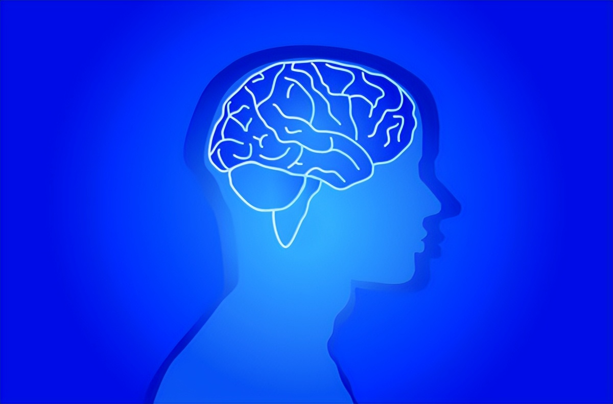 鸡蛋蛋白和蛋黄哪个要有营养一点,鸡蛋蛋白和蛋黄哪个更有营养