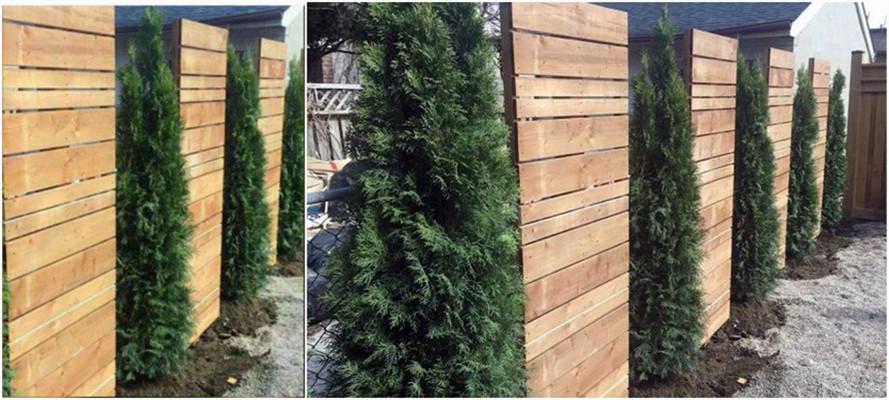 小院砖墙设计,庭院砌墙设计