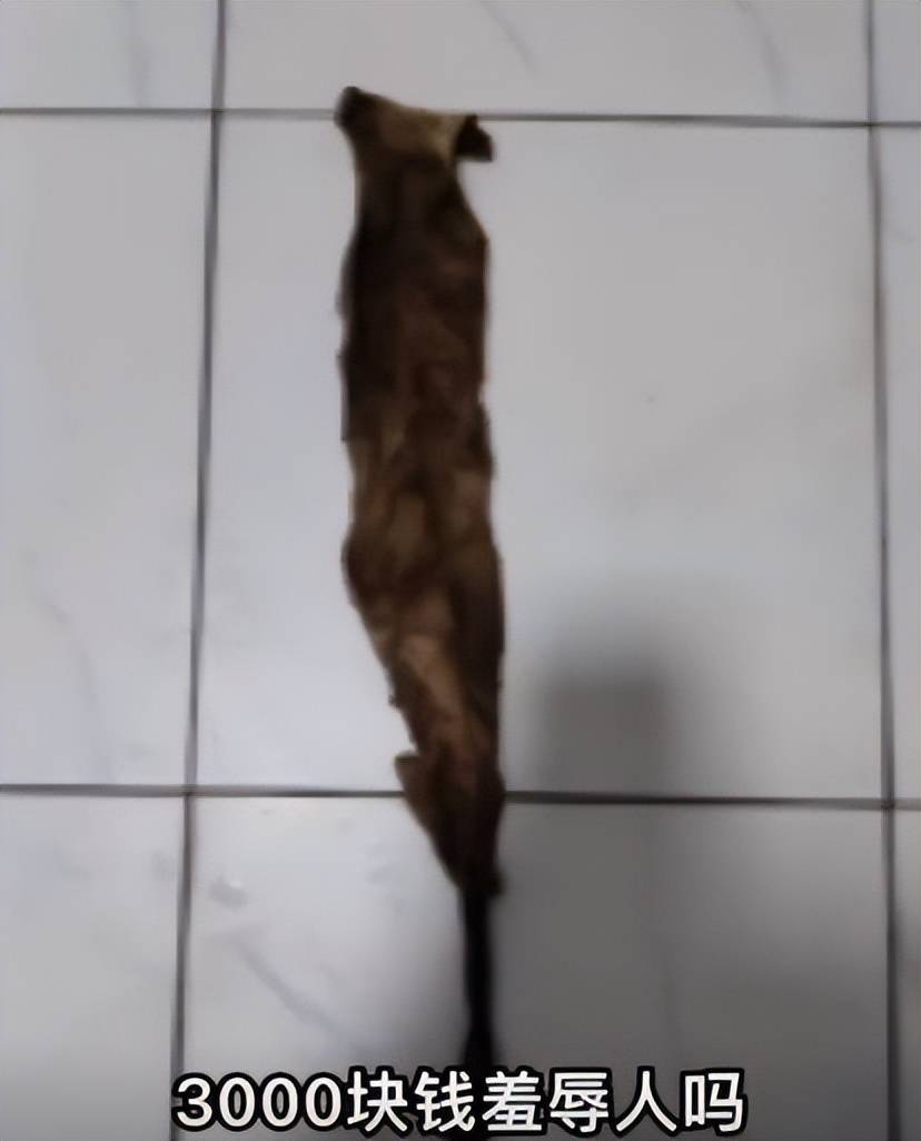 医院回应女子生产后纱布遗留体,女子顺产体内为什么留纱布