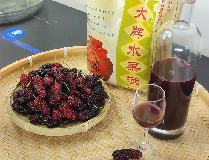雅大酒业发酵技术,雅大果酒酿酒技术