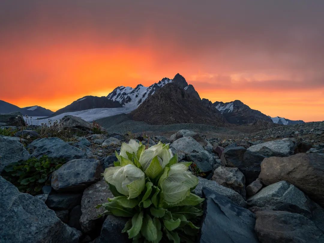 疫情三年我收获了什么,疫情三年我的人生感悟