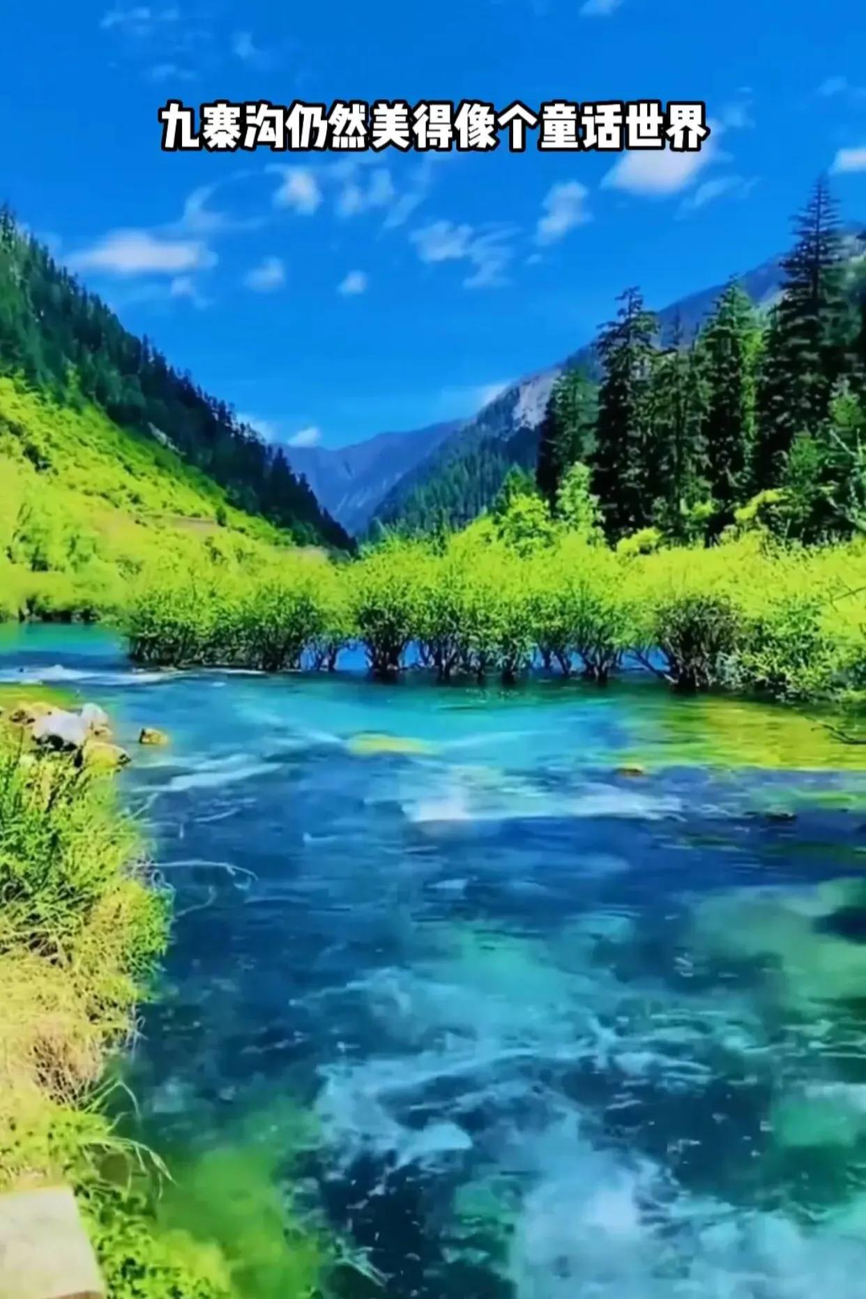 每个月适合去哪里旅游你知道吗,你知道每个月去哪里旅游吗