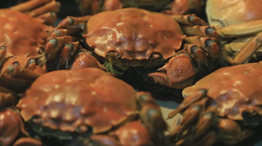 姝︿緺mmo绔父鎺ㄨ崘2024,姝︿緺mmo绔父鎺ㄨ崘