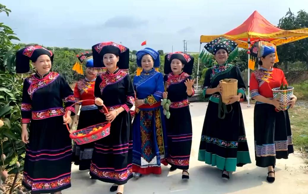 了不起的中国农业梅州金柚,了不起的中国农业