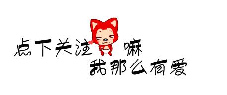 有哪些攻击性的犬可以养,建议懒人养的10种狗小型犬