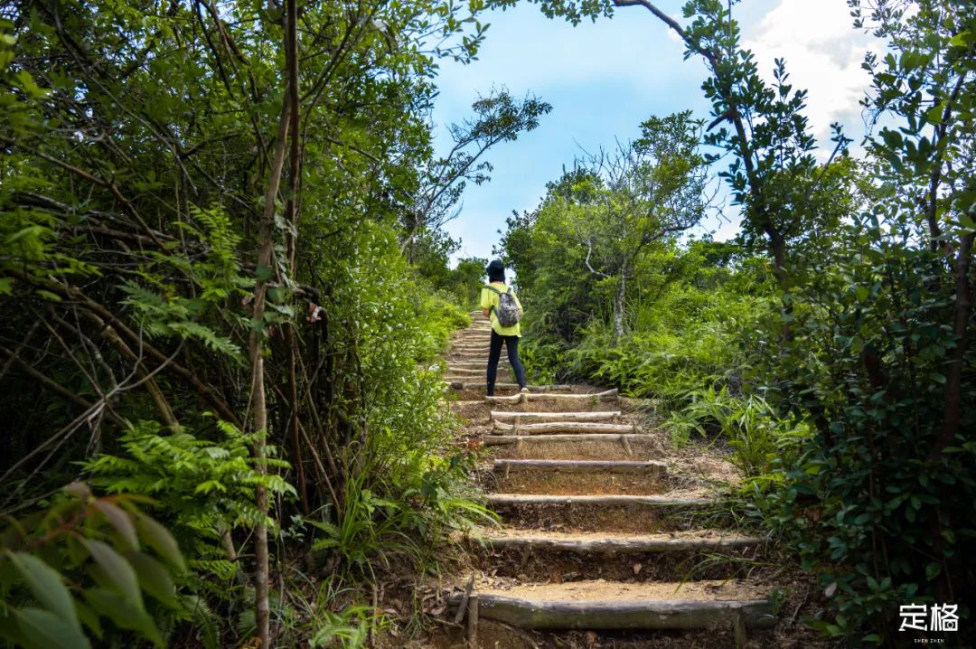马峦山手作步道,马峦山手作步道8期