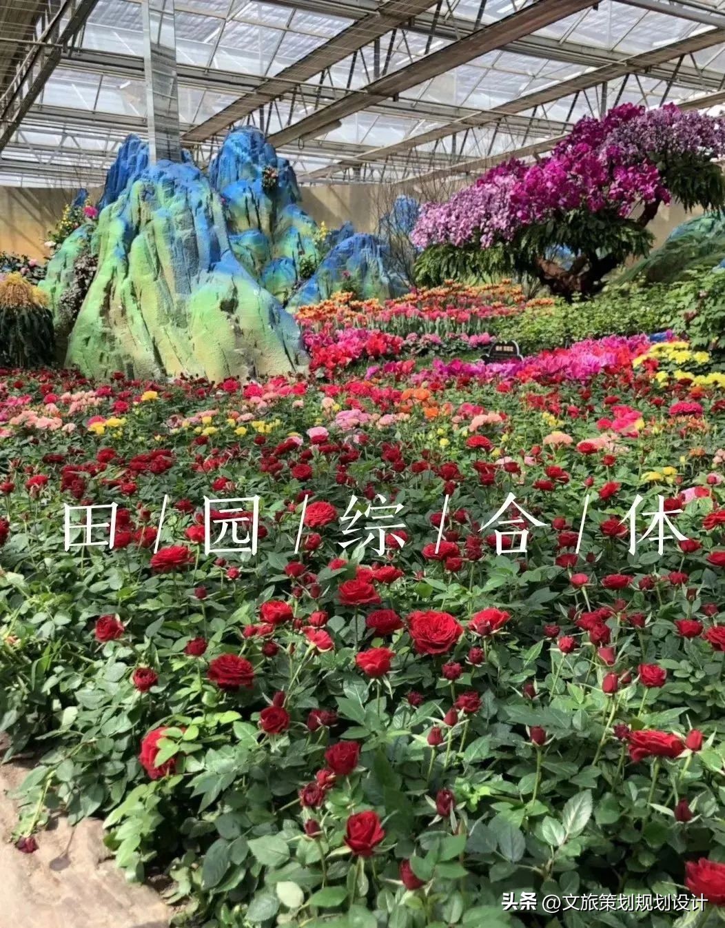 田园康养综合体设计,北京田园综合体规划设计案例