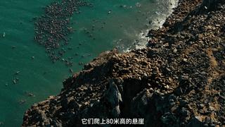 极端高温怎么解决啊,极端温度灾害主要有