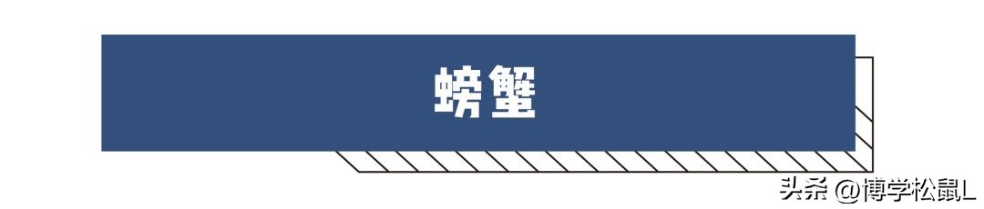 那些年你吃过哪些奇怪的东西,那些年你喝过的奇怪东西