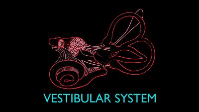 晕车难受怎么办速效办法,晕车好难受怎么安慰