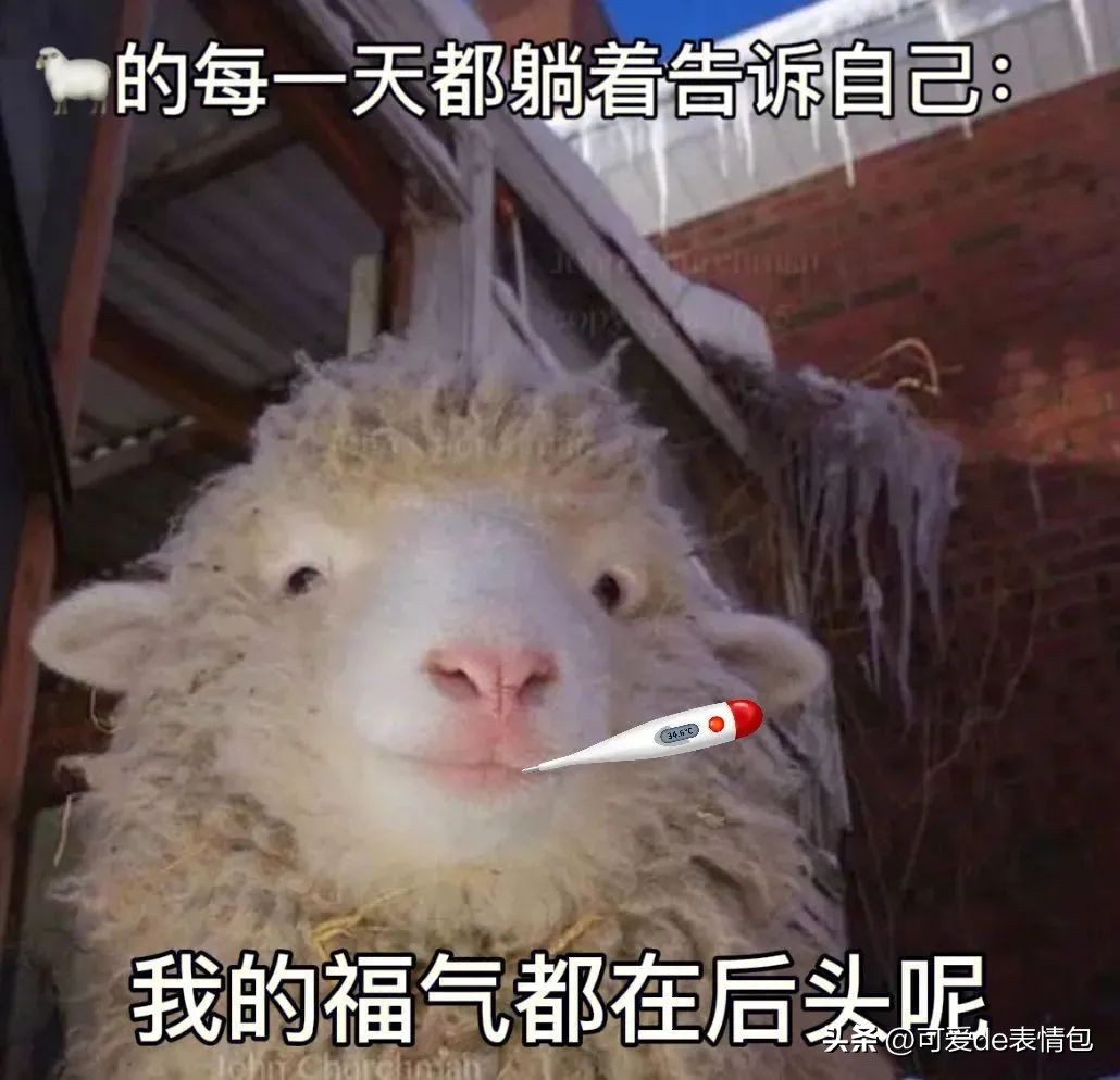 抖音黑人老嫂子搞笑表情包合集