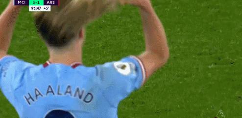 哈兰德解开头发,哈兰德关禁闭