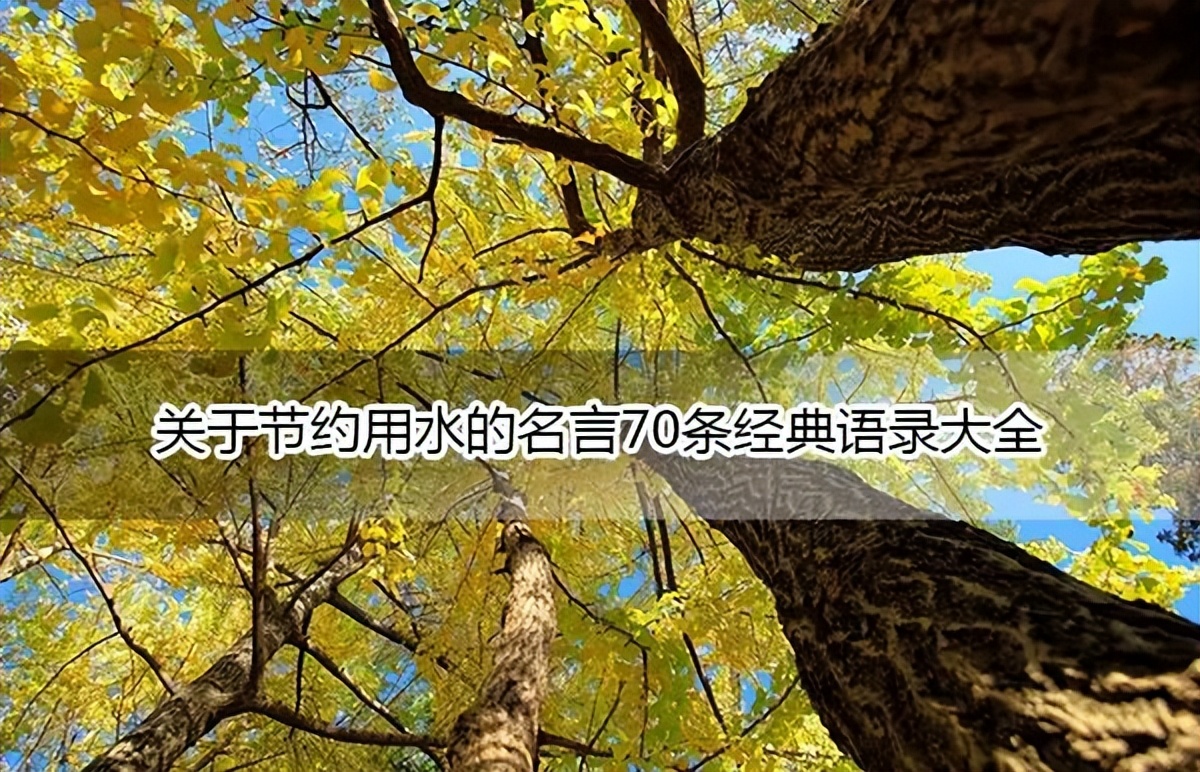 节约用水的名言名句大全,关于节约用水的名言名句有哪些