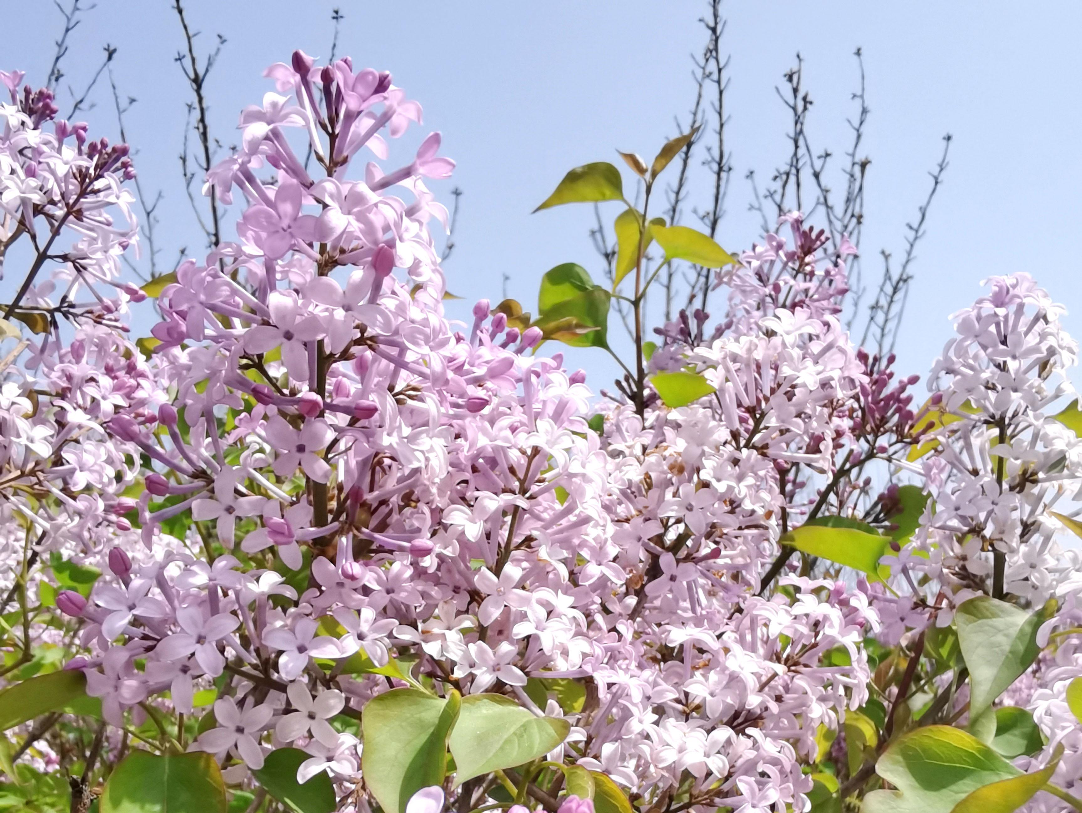 青岛世纪公园青岛亲子游乐好去处,适合遛娃的四季亲子乐园青岛
