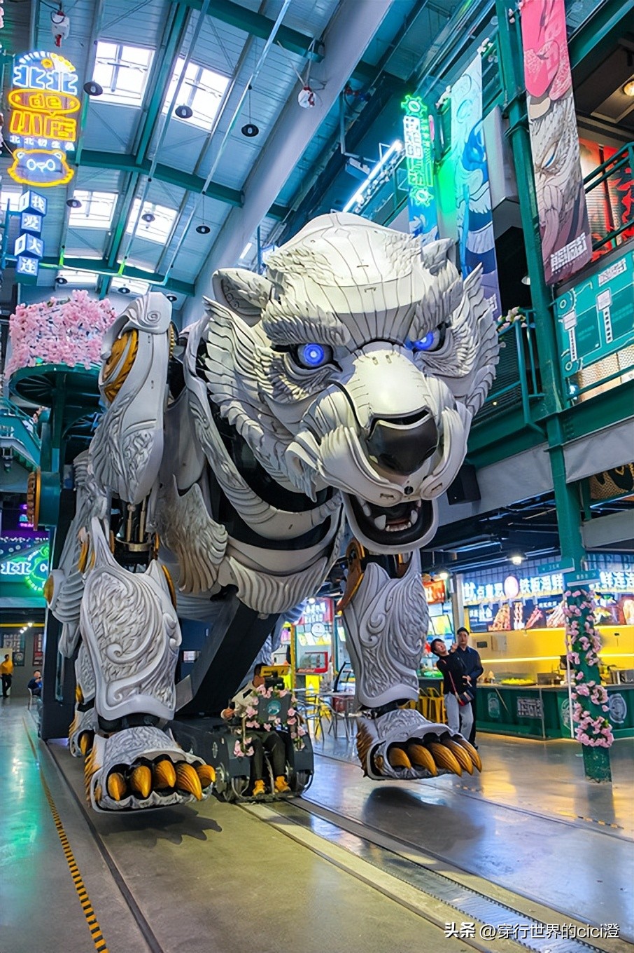 大连一日游都可以玩什么,大连一日游旅游攻略