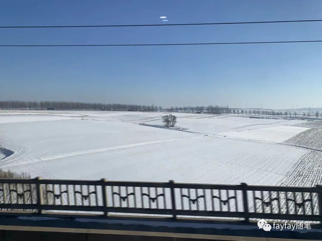 孤独的哈尔滨,哈尔滨三天两晚旅游攻略玩雪