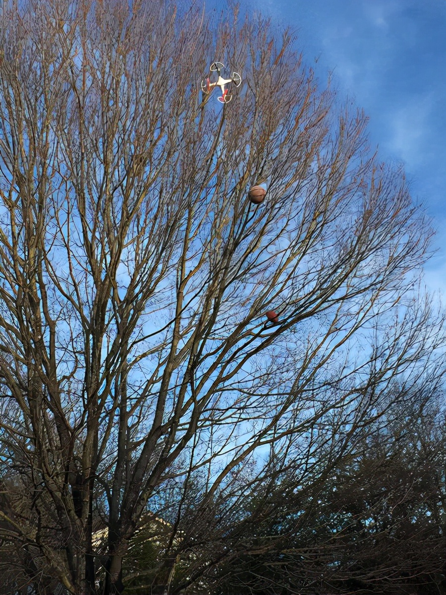 80个难得一见的图片,100个难得一见照片