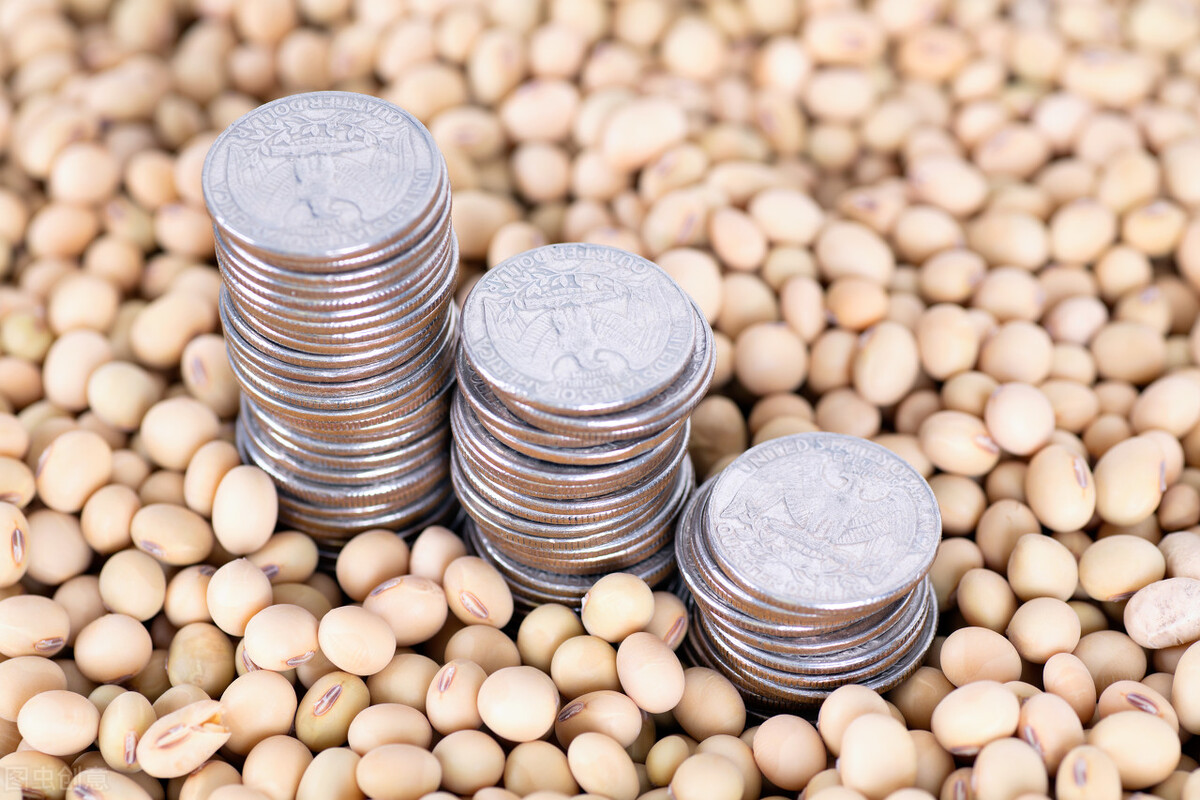 大豆未来一月价格行情最新,今日全国大豆价格行情日报