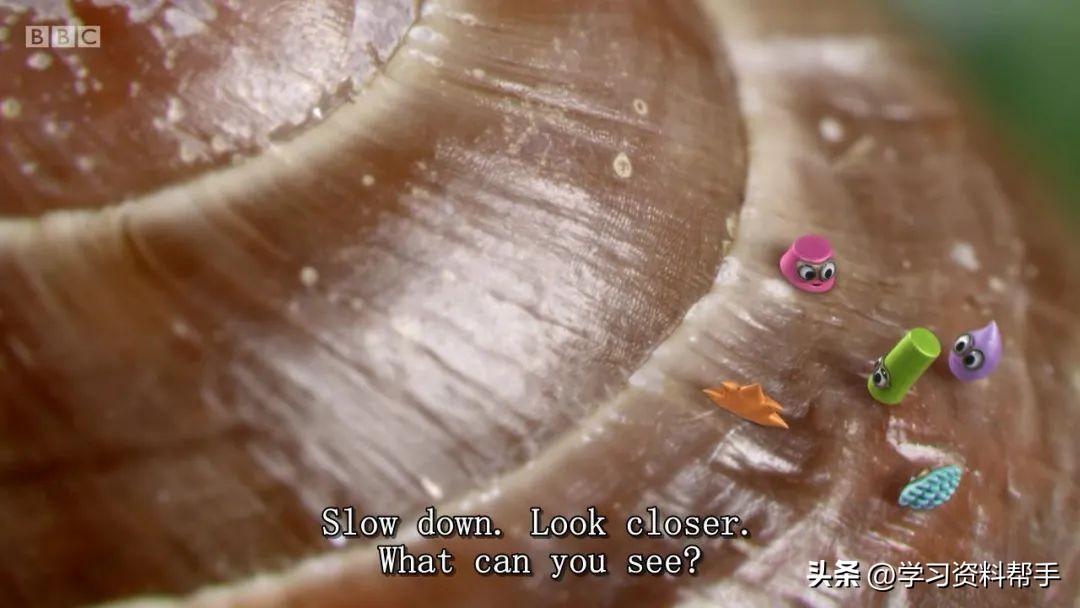 科普动画《TinyWonders小奇迹》，带娃换个角度观察和认知世界！