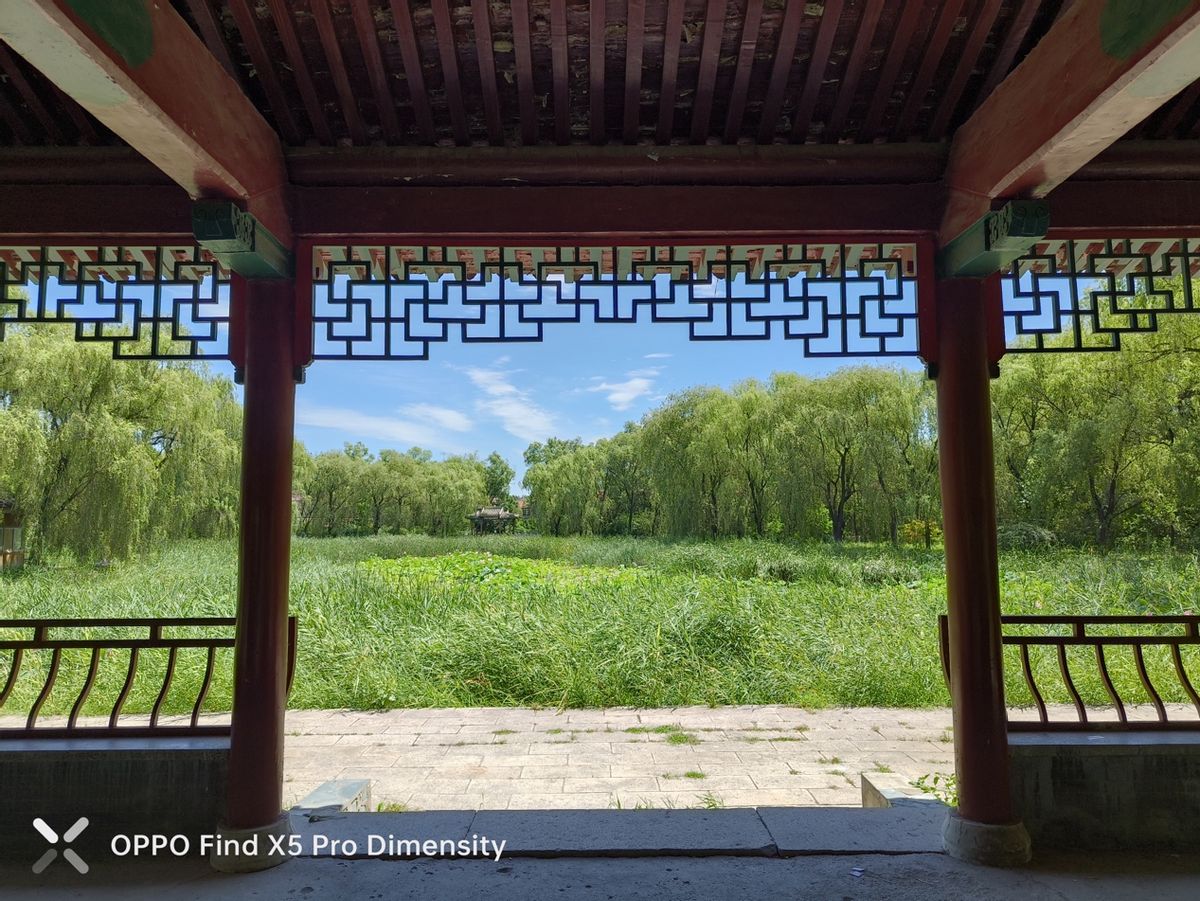 vivo天玑9000和oppo天玑1000+哪个好,搭载天玑900荣耀手机哪款性价比高