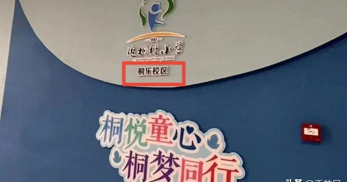 成都泡桐树小学桐乐校区变更,成都市泡桐树小学绿舟分校咋样