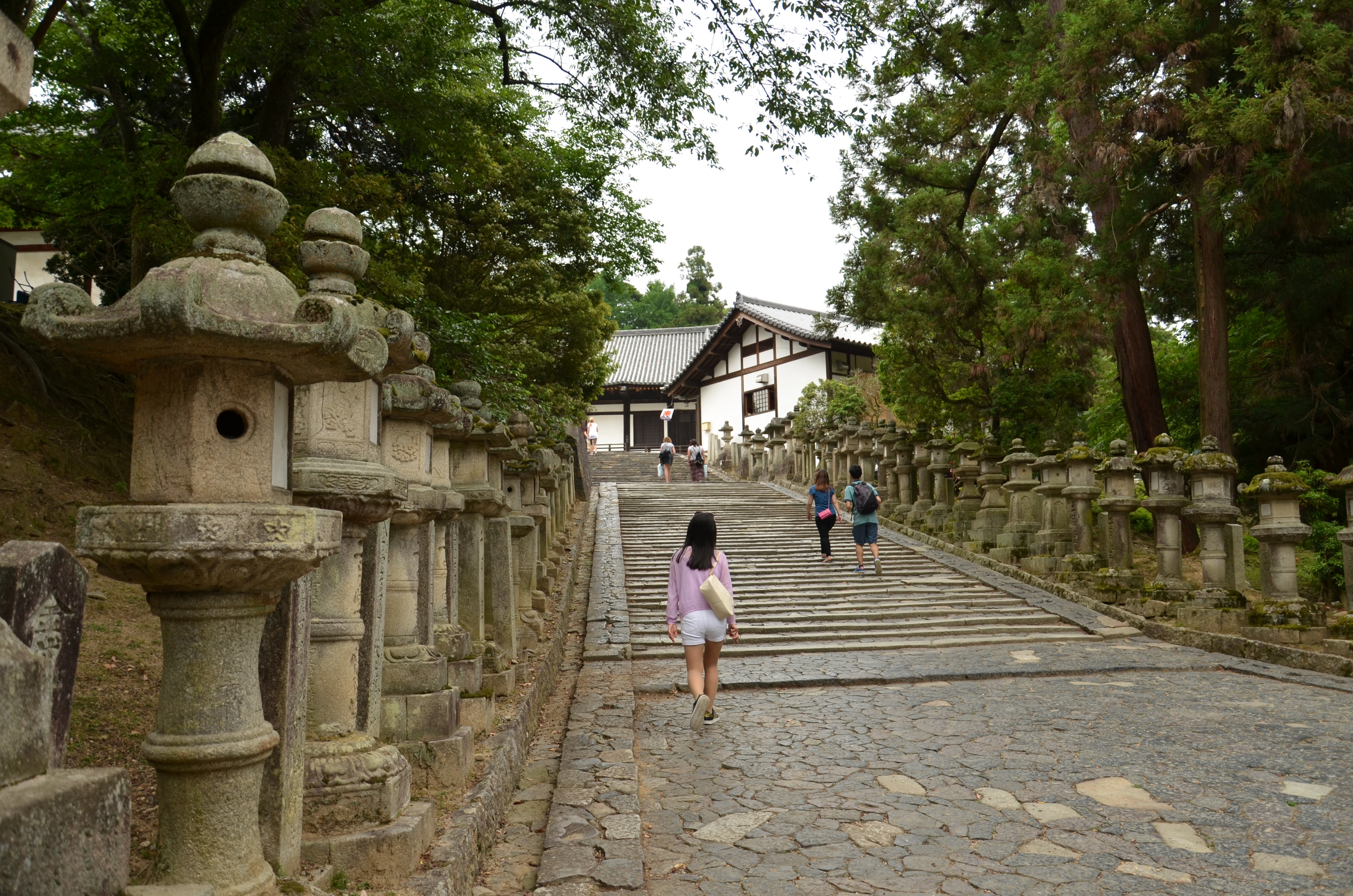 奈良东大寺导游讲解,奈良兴福寺游记