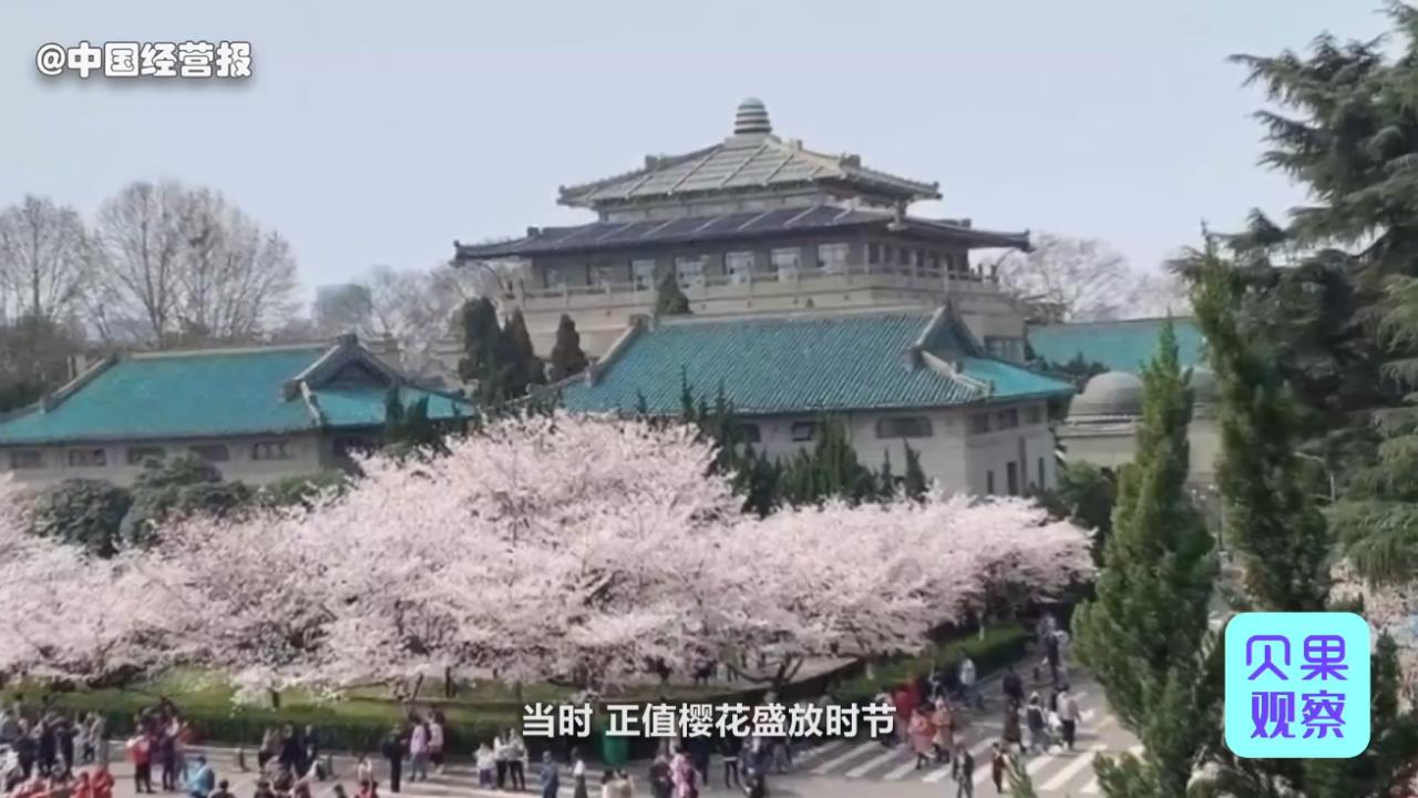 日本樱花带动旅游业,樱花带动产业发展