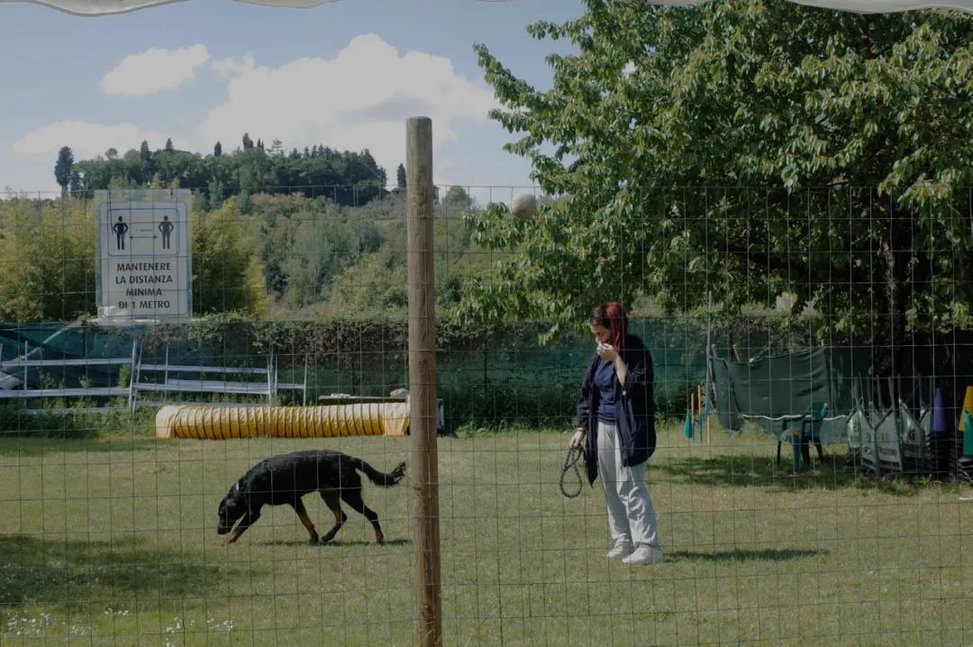 为了让狗狗不吃粑粑,我花5000元给它报了个班