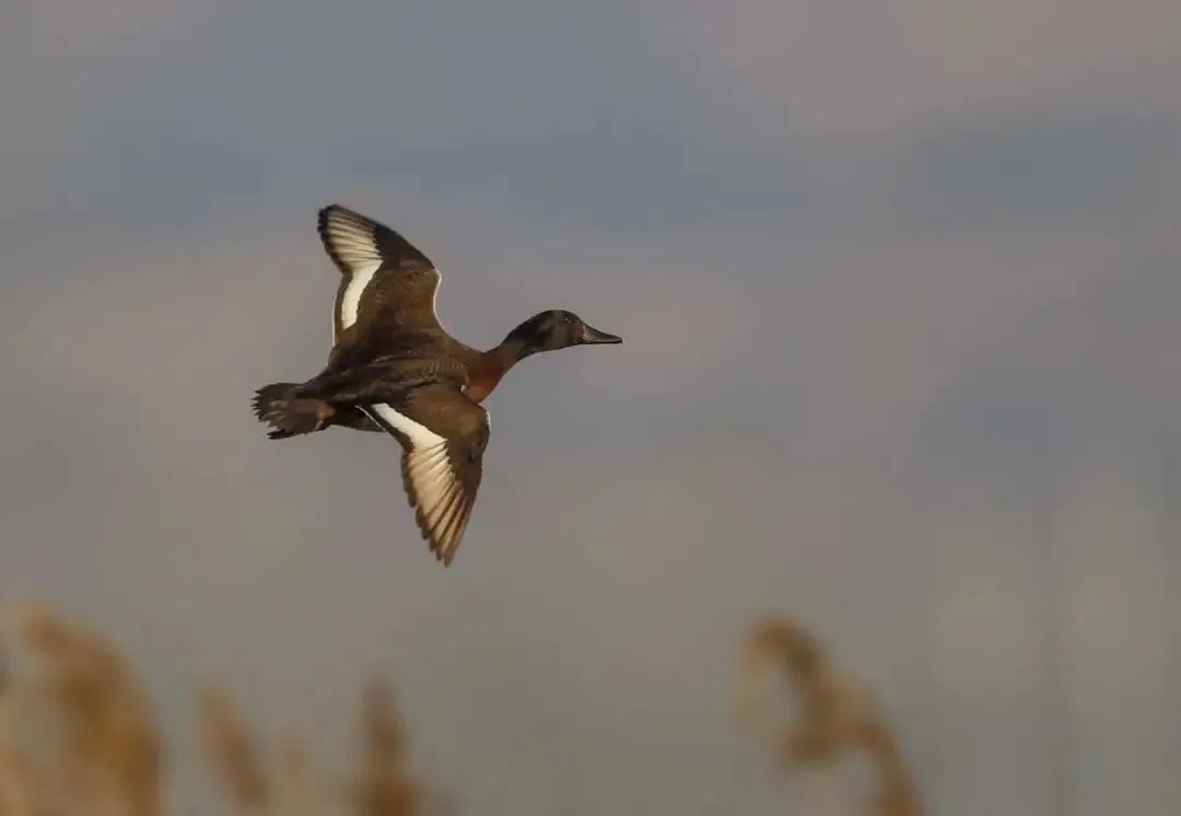 房山冬季带孩子游玩好去处,房山带娃游玩的好去处