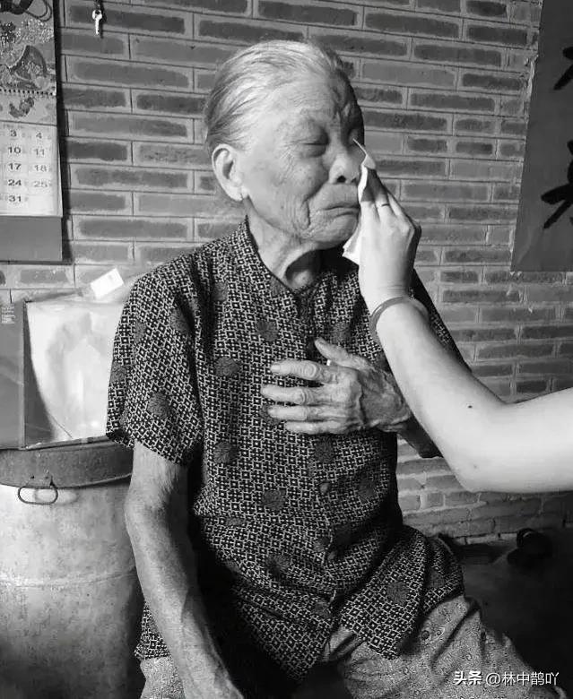 世界慰安妇纪念日是怎么回事,世界慰安妇纪念日