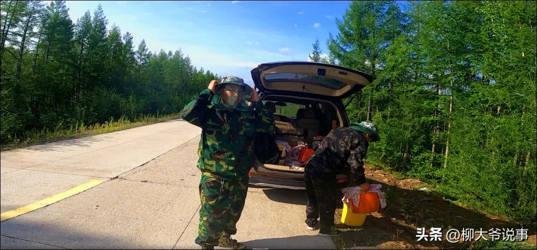 大兴安岭“采山”日赚千元是真的吗？哈尔滨小伙亲自体验结局亮了